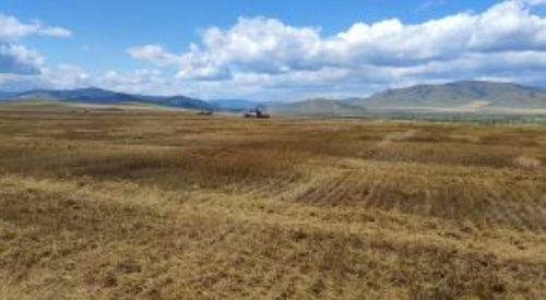 Фото Управления Россельхознадзора по Хакасии и Туве